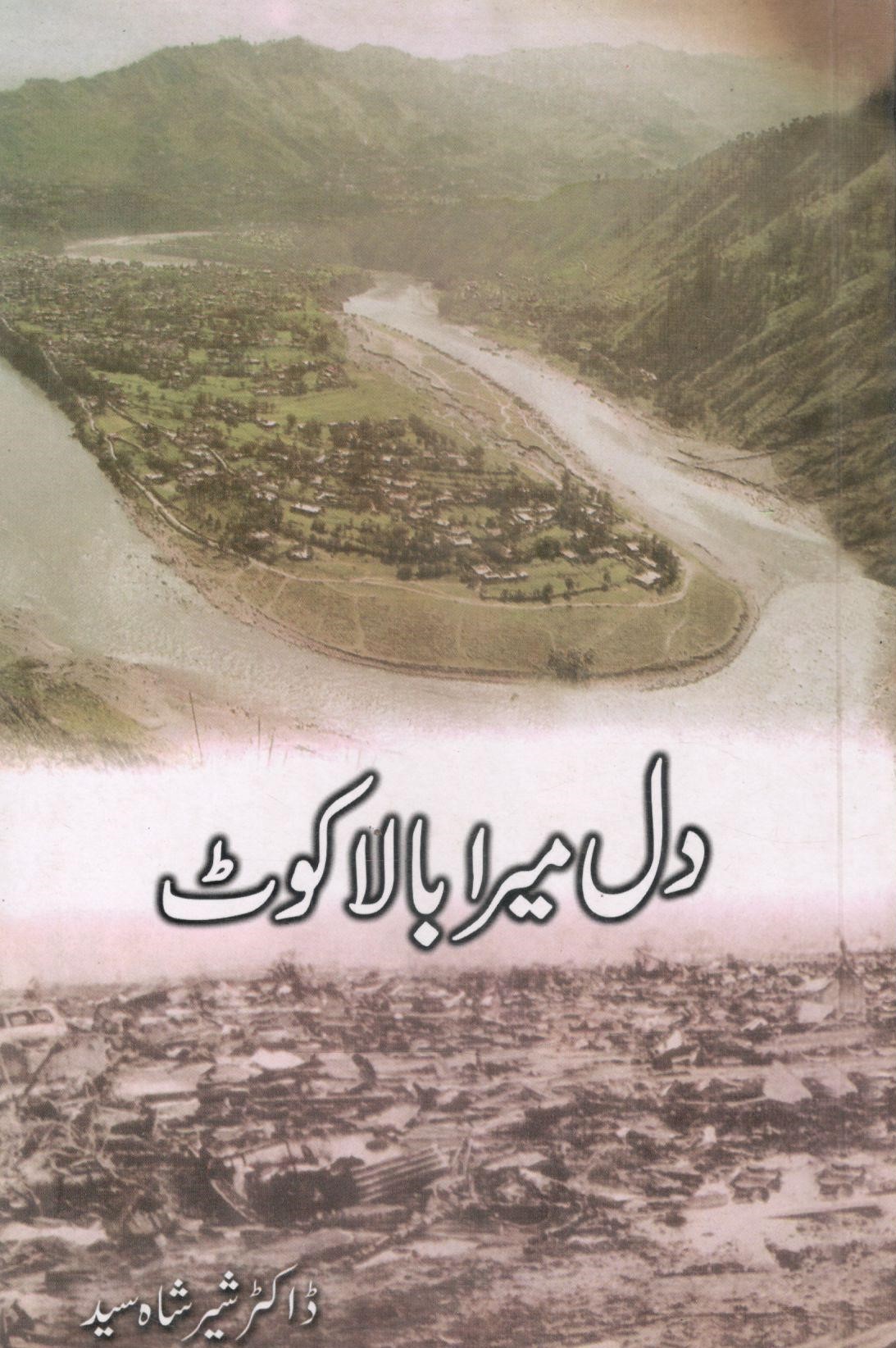 dil-mera-balakot Dil Mera Balakot (دل میرا بالاکوٹ) by Dr. Sher Shah Syed - Image 1